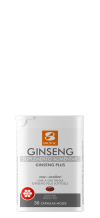 GINSENG PLUS