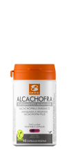 ALCACHOFRA